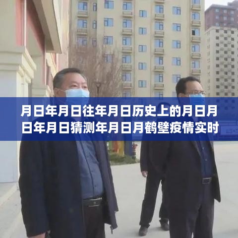 鹤壁疫情实时数据系统深度评测及历史数据对比