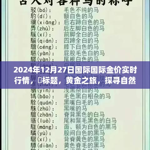 黄金之旅，探寻自然美景下的金色梦想——2024年12月27日国际金价行情解析