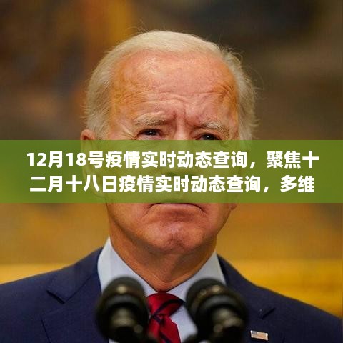 12月18日疫情实时动态查询，多维度视角下的观察与深度解析