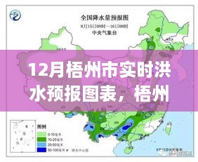 梧州市12月实时洪水预报图表解析与预测报告