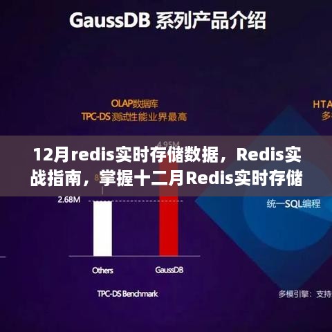 Redis实战指南，掌握十二月实时存储数据的秘密技巧