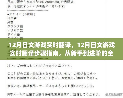 从新手到进阶，12月日文游戏实时翻译步骤指南与教程