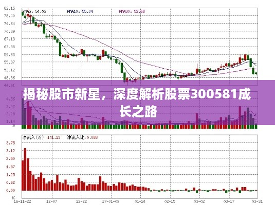 揭秘股市新星，深度解析股票300581成长之路