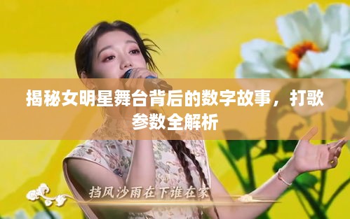 揭秘女明星舞台背后的数字故事，打歌参数全解析