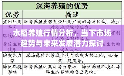 水稻养殖行情分析，当下市场趋势与未来发展潜力探讨