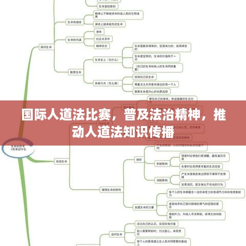 国际人道法比赛，普及法治精神，推动人道法知识传播