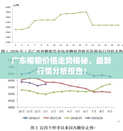 广东椰糖价格走势揭秘，最新行情分析报告！