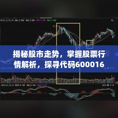 揭秘股市走势，掌握股票行情解析，探寻代码600016股票动态走势揭秘