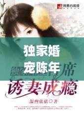 独家婚宠陈年 小说，独家婚宠免费阅读全文 