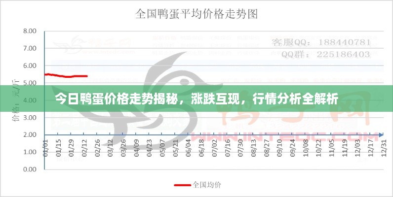 今日鸭蛋价格走势揭秘，涨跌互现，行情分析全解析