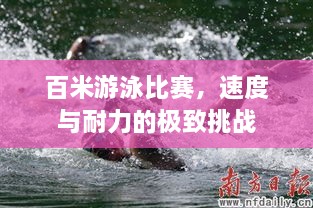 百米游泳比赛，速度与耐力的极致挑战