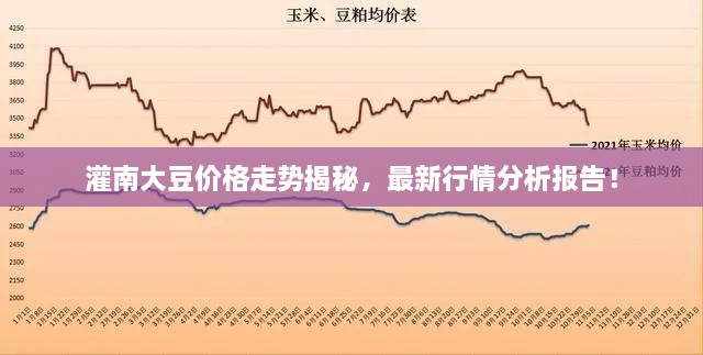 灌南大豆价格走势揭秘，最新行情分析报告！