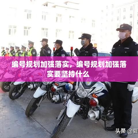 编号规划加强落实，编号规划加强落实要坚持什么 