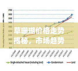 草珊瑚价格走势揭秘，市场趋势与影响因素深度解析