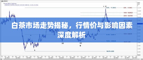 白茶市场走势揭秘，行情价与影响因素深度解析