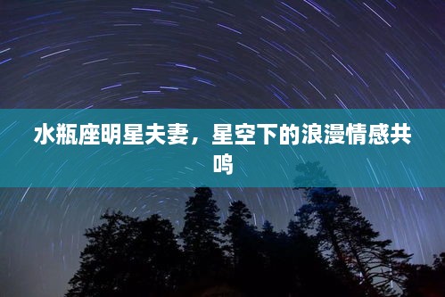 水瓶座明星夫妻，星空下的浪漫情感共鸣