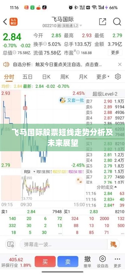 飞马国际股票短线走势分析及未来展望