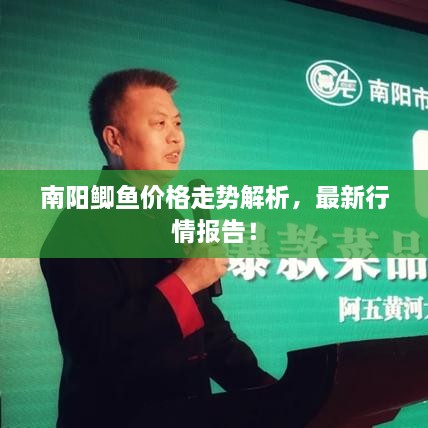 南阳鲫鱼价格走势解析，最新行情报告！