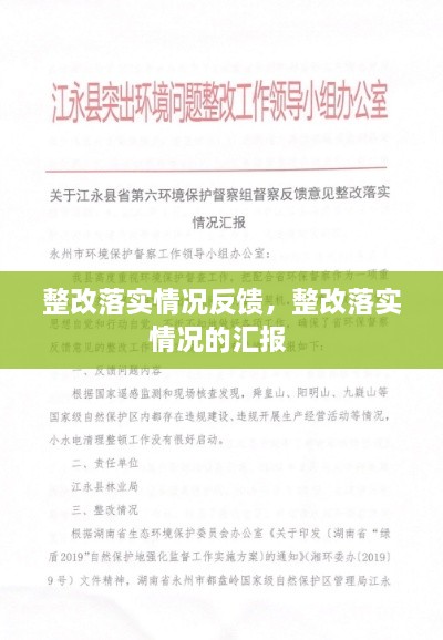 整改落实情况反馈，整改落实情况的汇报 