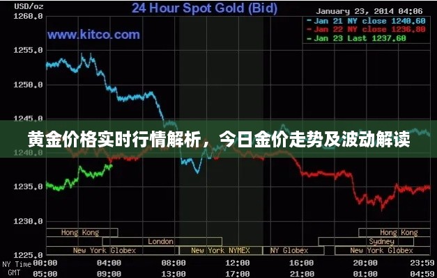 黄金价格实时行情解析，今日金价走势及波动解读