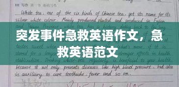 突发事件急救英语作文，急救英语范文 