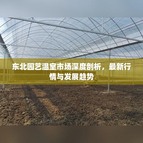 东北园艺温室市场深度剖析，最新行情与发展趋势