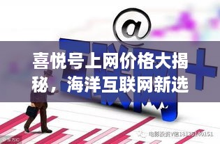 喜悦号上网价格大揭秘，海洋互联网新选择的全面解读