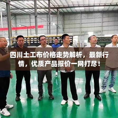 四川土工布价格走势解析，最新行情，优质产品报价一网打尽！