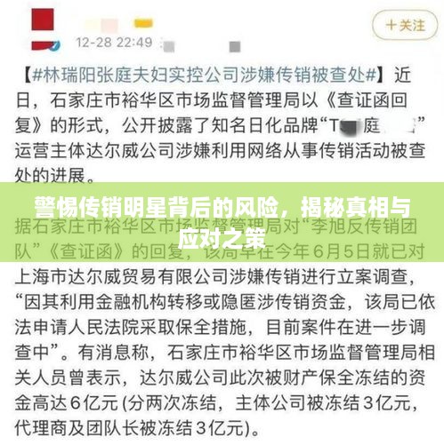 警惕传销明星背后的风险，揭秘真相与应对之策