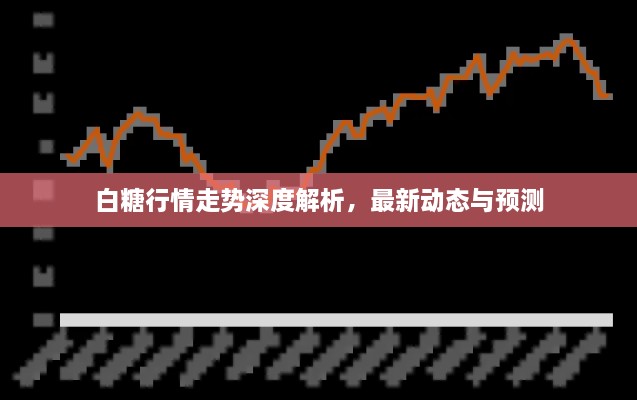 白糖行情走势深度解析，最新动态与预测