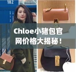 Chloe小猪包官网价格大揭秘！