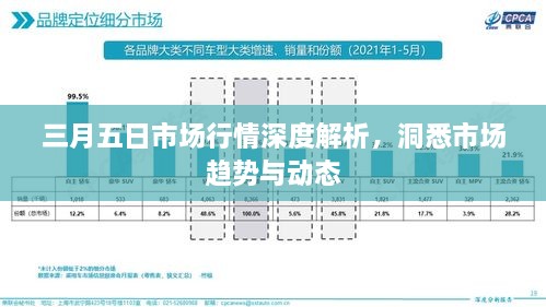 三月五日市场行情深度解析，洞悉市场趋势与动态