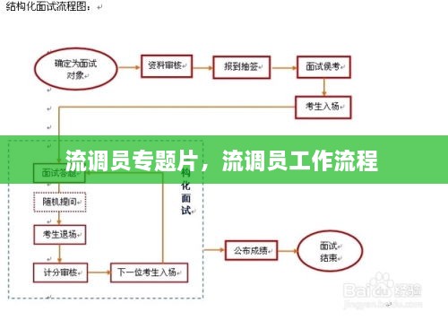 流调员专题片，流调员工作流程 