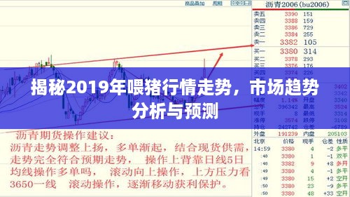 揭秘2019年喂猪行情走势，市场趋势分析与预测