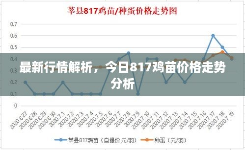 最新行情解析，今日817鸡苗价格走势分析