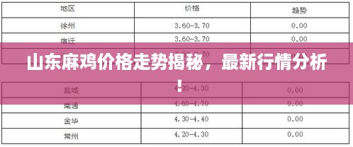 山东麻鸡价格走势揭秘，最新行情分析！