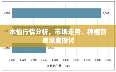 水仙行情分析，市场走势、种植前景深度探讨