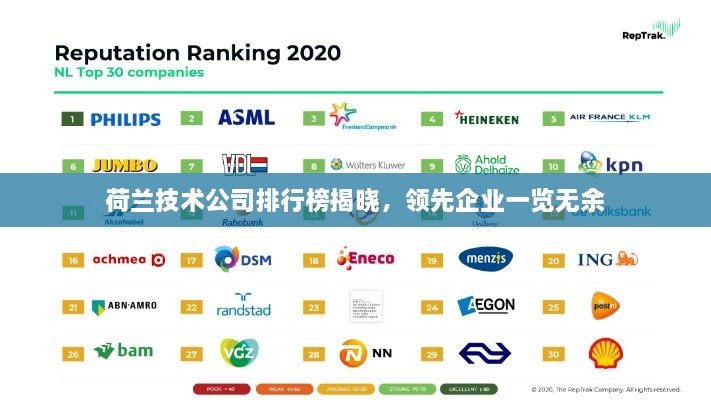 荷兰技术公司排行榜揭晓，领先企业一览无余