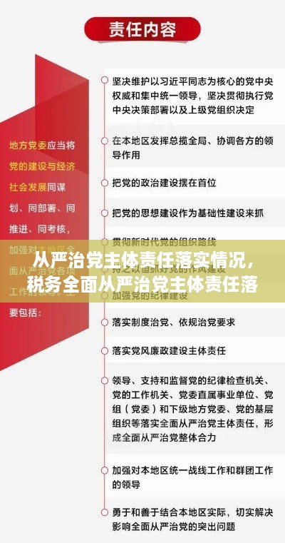 从严治党主体责任落实情况，税务全面从严治党主体责任落实情况 