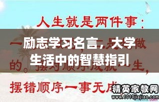 励志学习名言，大学生活中的智慧指引