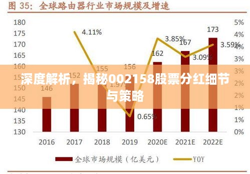 深度解析，揭秘002158股票分红细节与策略