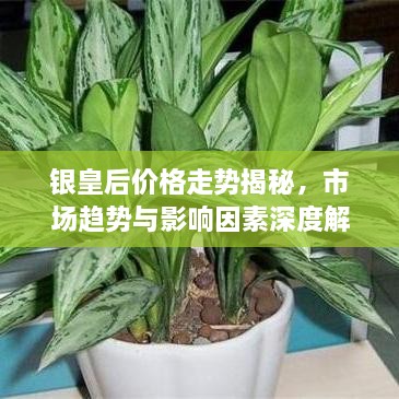 银皇后价格走势揭秘，市场趋势与影响因素深度解析