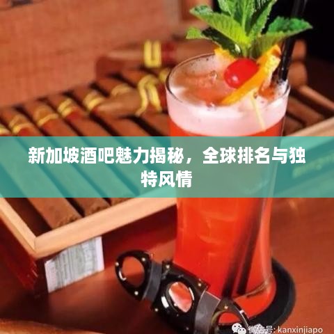 新加坡酒吧魅力揭秘，全球排名与独特风情