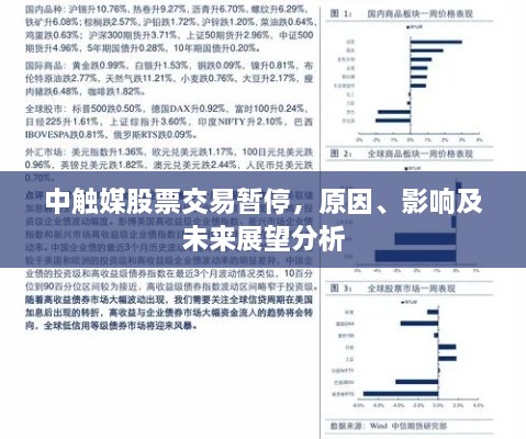 中触媒股票交易暂停，原因、影响及未来展望分析