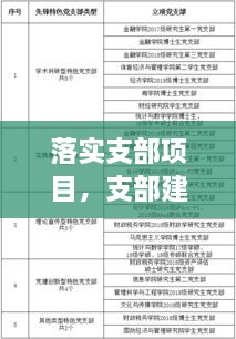 落实支部项目，支部建在项目上实施方案 