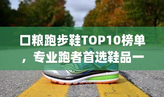 口粮跑步鞋TOP10榜单，专业跑者首选鞋品一览