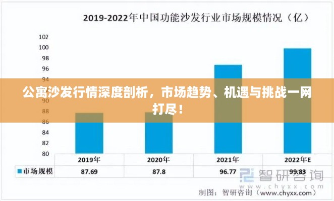 公寓沙发行情深度剖析，市场趋势、机遇与挑战一网打尽！