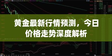 黄金最新行情预测，今日价格走势深度解析