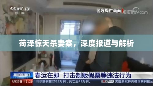 菏泽惊天杀妻案，深度报道与解析