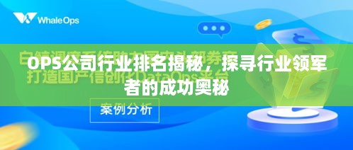 OPS公司行业排名揭秘，探寻行业领军者的成功奥秘